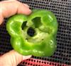 Stem Removed-Water Cut-Bell Pepper